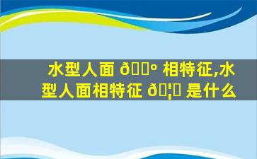 水型人面 🐺 相特征,水型人面相特征 🦟 是什么